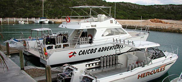 Provo Dive and Snorkeling Programs & Schedules