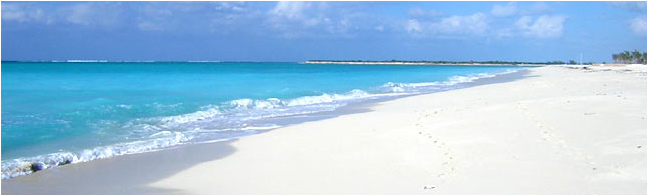Diving & Snorkeling the Turks and Caicos Islands Most Beautiful Beaches