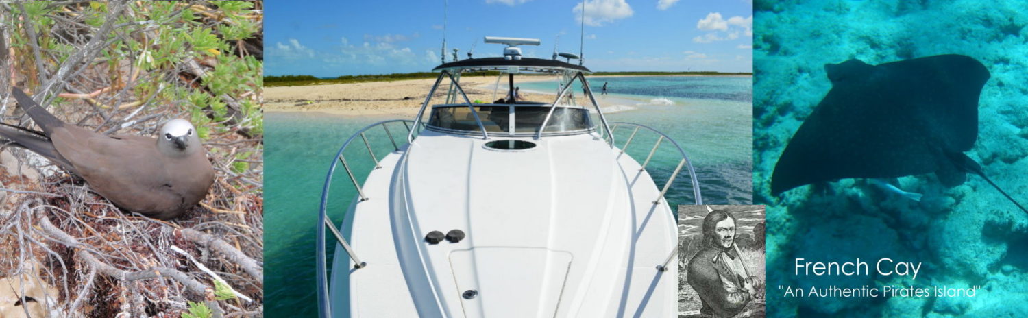 Provo Luxury Yacht Charter for Turks & Caicos Islands